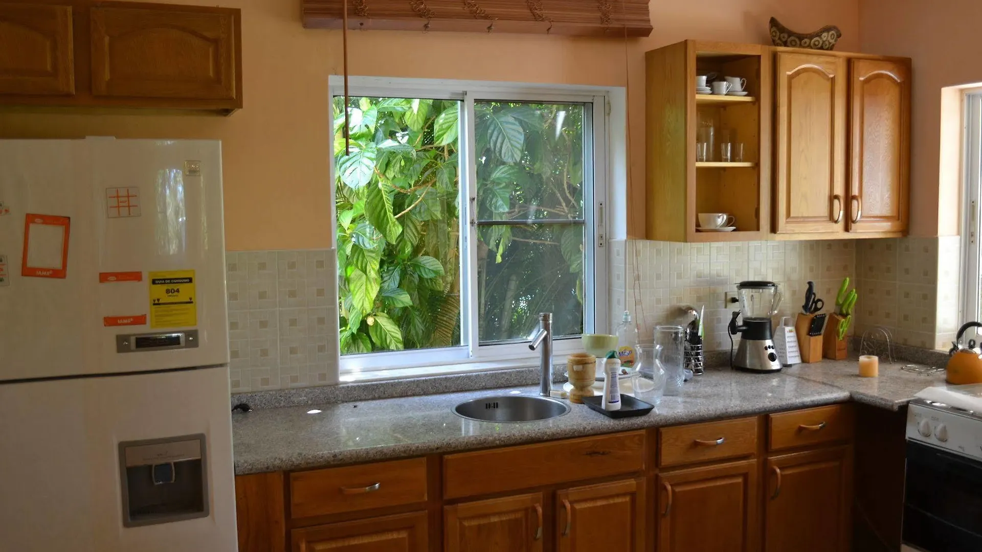Hotel 4 Bedroom Villa, Private Pool, Security, Ocean View Sosúa