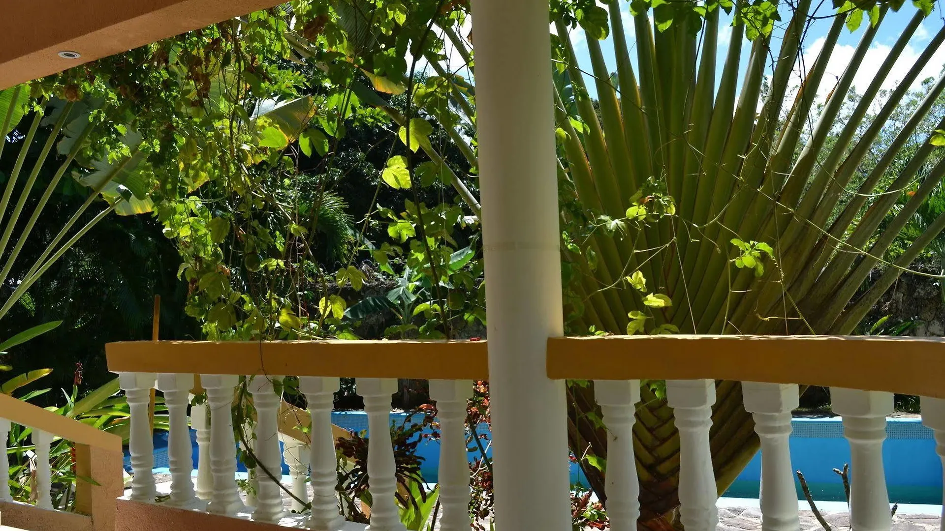 Hotel 4 Bedroom Villa, Private Pool, Security, Ocean View Sosúa